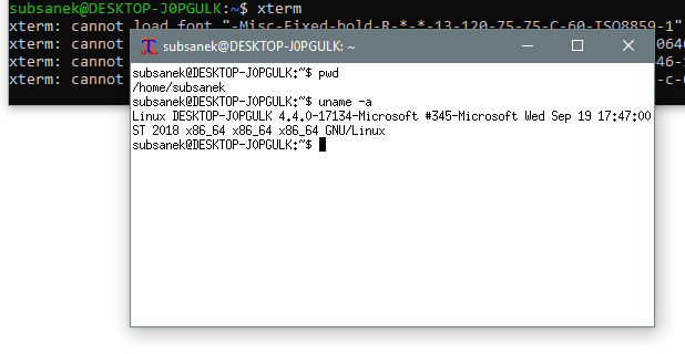 xterm_on_windows.png